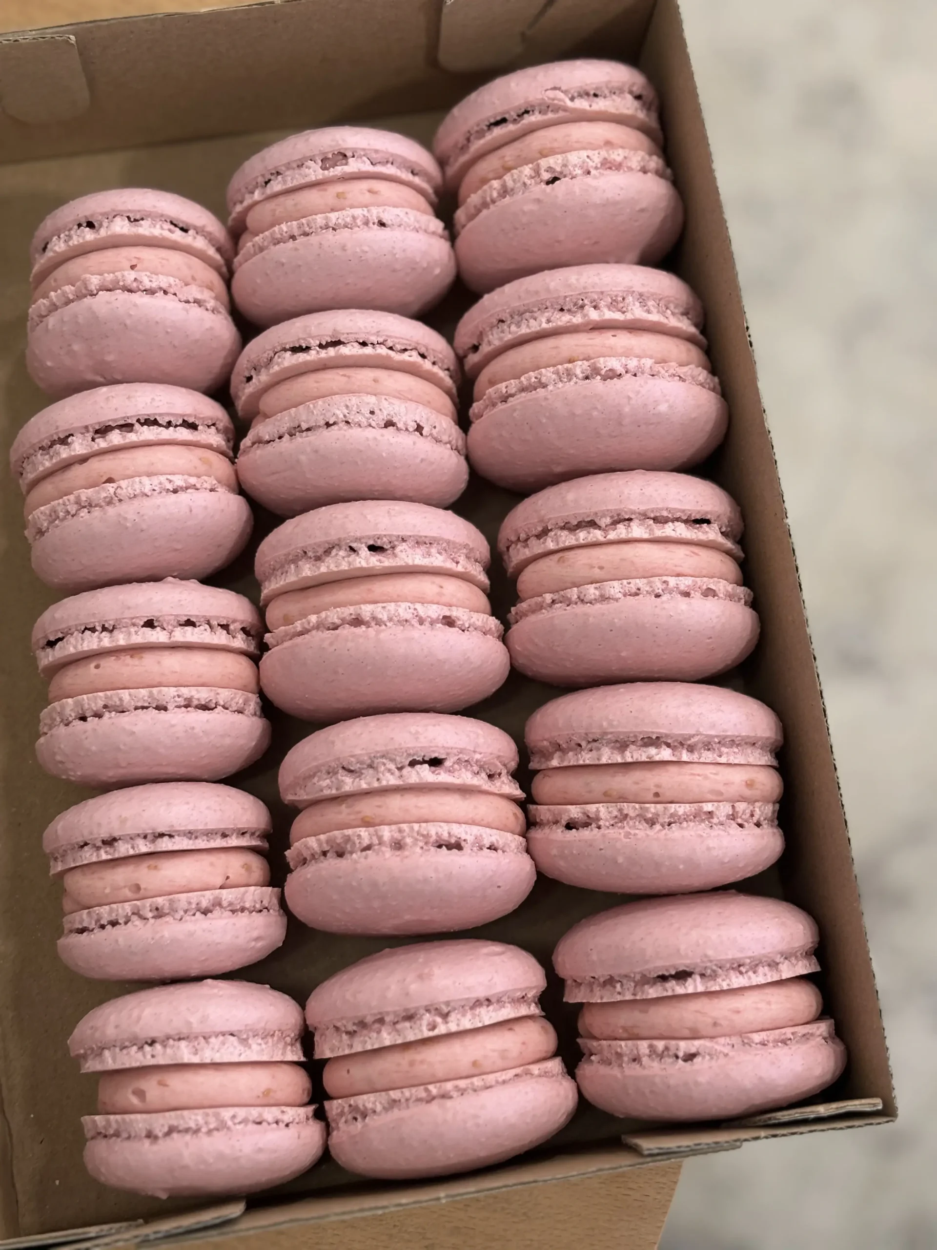 Lila Macaron